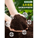 Nutrient soil, nutritious soil, universal soil for growing vegetables, special soil for household gardening, loose and breathable strawberry succulent seedlings, universal organic nutritional soil 50Jin Jin is equal to 0.5kg
