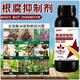 Kevohua upgraded version of root rot agent damping off rotten root base, weak seedlings taking root, activated soil to prevent soil-borne diseases, root rot agent 1000g, 2 bottles