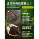 Nutrient soil, nutritious soil, universal soil for growing vegetables, special soil for household gardening, loose and breathable strawberry succulent seedlings, universal organic nutritional soil 50Jin Jin is equal to 0.5kg
