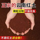 Red soil planting soil bougainvillea camellia jasmine special soil soil flower cultivation vegetable nutrition soil particles turtle bedding material Yunnan acidic red sand soil 5Jin Jin equals 0.5 kg - No negative review