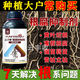 Yunfeng harvest root rot agent, root rot, leaf rot, rhizome base rot, dead tree rooting and activated soil, factory direct sale, 2 bottles with measuring cup to support trial