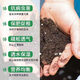 Special nutrient soil for vegetable planting, special soil for balcony vegetable planting, organic nutrient soil, pastoral soil, flower soil, vegetable planting, long-lasting fertilizer effect, 100 Jin of special soil for vegetable planting, Jin is equal to 0.5 kg (high germination rate, good root strength and seedling growth)
