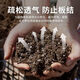 General nutrient soil from Jiangsu, Zhejiang, Shanghai and Anhui, big bag 40Jin, equal to 0.5kg, packed household nutrient soil 30Jin, equal to 0.5kg, flower potting soil, 100Jin, equal to 0.5kg, selected nutrient soil, dedicated for growing vegetables