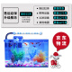 SEASTAR fish tank desktop transparent hot-bent square glass ecological goldfish tank turtle tank living room small mini aquarium 175*125*140 standard