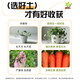 Universal soil nutrient soil 100 Jin Jin is equal to 0.5 kg. General special flower soil for growing vegetables and flowers. Loose and breathable soil for seedlings. 300 Jin Jin is equal to 0.5 kg. Universal organic nutrient soil is Jin Jin equal to 0.5 kg. Full compensation for damage. No odor. No insect eggs.