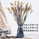 Original idea (CHUGOUXIANG) Yunnan real flower pampas grass whisk dust rabbit tail dried bouquet pampas grass HS78 with box