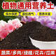 Pick-up cat potted plant nutrient soil, special organic flower soil for flowers (early taster price, good soil is delivered at low price) 5 Jin Jin is equal to 0.5 kg, special soil for flower and green plants - water retention