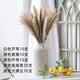Original idea (CHUGOUXIANG) Yunnan real flower pampas grass whisk dust rabbit tail dried bouquet pampas grass HS60 with box