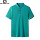 LILANZ business short-sleeved polo shirt men's pure cotton summer new stand-up collar half-sleeved T-shirt casual solid color men's gray XL 52