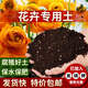 Pick-up cat potted plant nutrient soil, special organic flower soil for flowers (early taster price, good soil is delivered at low price) 5 Jin Jin is equal to 0.5 kg, special soil for flower and green plants - water retention