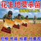 Receive and transport cat peanuts for heavy cropping, fertilizer, root rot and net nemesis, resist heavy cropping disease, prevent soil-borne dead seedlings, improve soil disinfection and conditioner, soil disinfection 10 bags, increase production and income