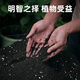 General nutrient soil from Jiangsu, Zhejiang, Shanghai and Anhui, big bag 40Jin, equal to 0.5kg, packed household nutrient soil 30Jin, equal to 0.5kg, flower potting soil, 100Jin, equal to 0.5kg, selected nutrient soil, dedicated for growing vegetables