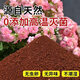 Red soil planting soil bougainvillea camellia jasmine special soil soil flower cultivation vegetable nutrition soil particles turtle bedding material Yunnan acidic red sand soil 5Jin Jin equals 0.5 kg - No negative review