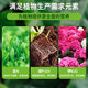 Special nutrient soil for vegetable planting, special soil for balcony vegetable planting, organic nutrient soil, pastoral soil, flower soil, vegetable planting, long-lasting fertilizer effect, 100 Jin of special soil for vegetable planting, Jin is equal to 0.5 kg (high germination rate, good root strength and seedling growth)
