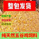 Cat delivery cat factory direct sales 100Jin Jin is equal to 0.5kg High protein chicken, duck and goose feed corn wheat bran fattening and egg laying feed (one day) 50Jin Jin is equal to 0.5kg (active)
