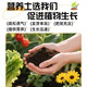 Universal soil nutrient soil 100 Jin Jin is equal to 0.5 kg. General special flower soil for growing vegetables and flowers. Loose and breathable soil for seedlings. 300 Jin Jin is equal to 0.5 kg. Universal organic nutrient soil is Jin Jin equal to 0.5 kg. Full compensation for damage. No odor. No insect eggs.