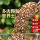 Succulent soil granular soil special nutritional soil succulent plant planting paving stone leaf insert imported peat flower soil full particles 10Jin Jin equal to 0.5kg 3-5mm