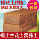 Coconut powder, coconut bricks, coconut bran, coconut soil, orchid soil, nutritious soil, soilless cultivation, pet bedding, vegetable and flower desalination soil, four coconut bricks, desalination, limited time price, about 650 grams