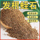 Vermiculite granules for cutting rose perlite flower cultivation special white vermiculite nutritious soil for turtle egg hatching and large succulent for use with luxury nutritious soil 5 Jin Jin equal to 0.5 kg + sheep manure 5 Jin Jin equal to 0.5 kg