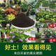 Nutrient soil special organic soil for growing flowers, succulent golden kudzu rose pots, universal planting soil soil for vegetable soil, special soil for flower cultivation, horticulture ratio nutrient soil has been 30Jin, Jin is equal to 0.5kg