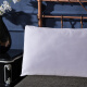 Ciyun comfortable silk pillow core mulberry silk filled cotton fabric silk pillow single pack 74*48cm white