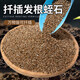 Vermiculite granules for cutting rose perlite flower cultivation special white vermiculite nutritious soil for turtle egg hatching and large succulent for use with luxury nutritious soil 5 Jin Jin equal to 0.5 kg + sheep manure 5 Jin Jin equal to 0.5 kg