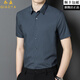 Gioia Italian light luxury brand short-sleeved shirt for men with business casual temperament, versatile, skin-friendly, no-iron, high-end shirt trend A2202 modern gray, temperament, no-iron style, size M (170), recommended 120-135 Jin Jin is equal to 0.5 kg