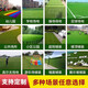 Simulated lawn carpet, artificial fake lawn grid, green adhesive backing balcony, outdoor kindergarten courtyard, artificial turf, 2 cm encrypted high-quality spring grass, 3 meters wide, 15 meters long, artificially cut