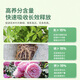 Shikefeng Flower Fertilizer Nitrogen, Phosphorus and Potassium Compound Fertilizer Universal Vegetable Flower Blooming Three-Year Agricultural Slow Release Organic Potted Household