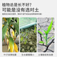Shangyang universal nutrient soil flower planting soil vegetable planting soil green plant potted organic peat soil 2L