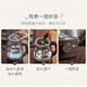 Bear Tea Maker Healthy Kettle Steam Spray Type Glass Thickened Black Tea Make Tea Kettle Small Mini Office Tea Steamer Fully Automatic Tea Stove Electric Kettle ZCQ-A10X1 Spray Type Tea Maker 1L