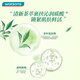 Watsons Green Tea Fragrance Shower Gel 1L (Tea Extract, Hyaluronic Acid, Softening and Cleansing)