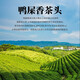 Biyou Sifang Snow Chip Entenscheiße Duft Chaozhou Phoenix Single Thong Tee 2025 New Tea High Mountain Oolong Tee Single Thong Mailand -Geschmack Single von 500g*1 Bag [Entenscheiße -Duft -Teeber