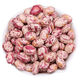 Northeastern Sparrow Egg Bean Seed Red Gold Hook Gold Hook Northeast Oil Bean Seed Flour Bean Bean Vegetable Seed Two Packs About 130 + Song Fertilizer