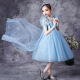 Bei Lecong children's clothing girls' dresses children's skirt Elsa princess dress summer dress Elsa birthday dress Children's Day performance dress pink single skirt (without cape) size 140 recommended around 125cm