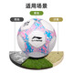Li Ning Children's No. 4 Football High School Entrance Exam Competition Training Children's Standard World Cup Primary School Students Special Anti-Slip Material Gift