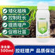 Xiaokang Chuangfeng Fengmeipinium Fruit, Vegetable, Wheat Pesticide Plant Growth Regulator 2 Bottles*500g