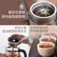 Bear Tea Maker Healthy Kettle Steam Spray Type Glass Thickened Black Tea Make Tea Kettle Small Mini Office Tea Steamer Fully Automatic Tea Stove Electric Kettle ZCQ-A10X1 Spray Type Tea Maker 1L