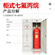 Xinlin 100L vertical cabinet type heptafluoropropane gas automatic fire extinguishing device*1 set including agent and installation
