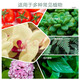 Yara Norwegian compound fertilizer imported Yara Miao Le flower fertilizer vegetable fertilizer fruit tree fertilizer multi-meat fertilizer general fertilizer nitrogen phosphorus potassium urea Norway 100Jin Jin equal to 0.5 kg whole package (photographed in Guangdong Province)