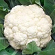 Broccoli seeds, broccoli seeds, pine cauliflower seeds, cauliflower, green cauliflower seeds, four-season vegetables, original white pine cauliflower seeds, 3 bags (about 900 grains)