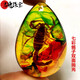 Junpo Natural Real Insect Colorful Amber Water Drop Pendant Scorpion Butterfly Sweater Chain Men's and Women's Accessories Spider Raw Stone Gift Colorful Scorpion Double-sided Rope Style