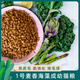 OIMG A-Xing No. 1 Vegan General Cat Food for Kittens, Wheat-flavored Seaweed Flavor, Easy to Digest, Bright Fur Balls, Zhaifo Temple No. 1 Wheat-flavored Seaweed Cat Food, 5 Jin Jin equals 0.5 kg (1 bag)