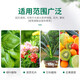 Urea fertilizer for growing vegetables, organic fertilizer, quick-acting nitrogen fertilizer, chemical fertilizer, general compound fertilizer for flowers, agricultural water-soluble fertilizer, crystal urea 30Jin Jin is equal to 0.5kg