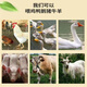Fine rice bran farm rice bran fresh chicken duck goose feed rice bran natural rice husk fine rice bran feed rice bran 20Jin Jin is equal to 0.5 kg