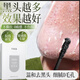 Fanzhen Blackhead Bamboo Charcoal Nasal Mask Cream T-Zone Care Cleansing Skin Peel-off Mask Blackhead Nose Patch One Box