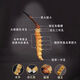 
Authentic Cordyceps gift box genuine dry goods Mid-Autumn Festival gift high-end gifts for elders and parents nutritional products Bamboo pattern carry-on box large strips of Cordyceps 10 pieces