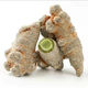 Pupan [Ventes à chaud] Yunnan Wenshan Panax Notoginseng Powder tian Qi Powder Authentic mélange panax notoginseng Superfine Powder Wenshan Expédition (tranche gratuite de Panax Notoginseng) 10 têtes sélectionnées Panax Notoginseng de haute qualité 500G 500G