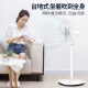 Pioneer (SINGFUN) electric fan/floor fan/5-blade large air volume/household silent fan/table dual-purpose fan DLD-D10