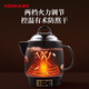 KONKA health pot, decoction pot, traditional Chinese medicine pot, fully automatic ceramic stew pot, decoction machine, household soup pot 3L KJYH-WHG461